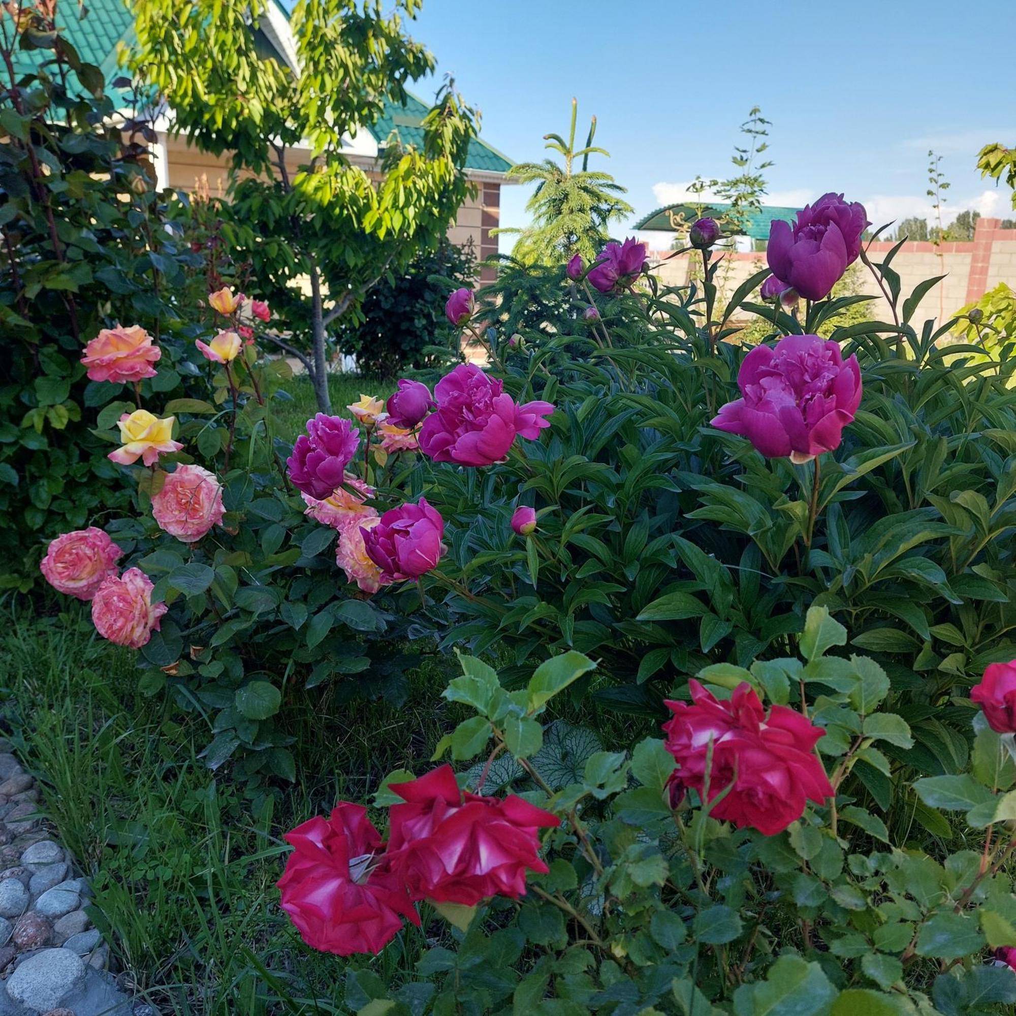Svetlana Guest House Bokonbayevo Екстер'єр фото