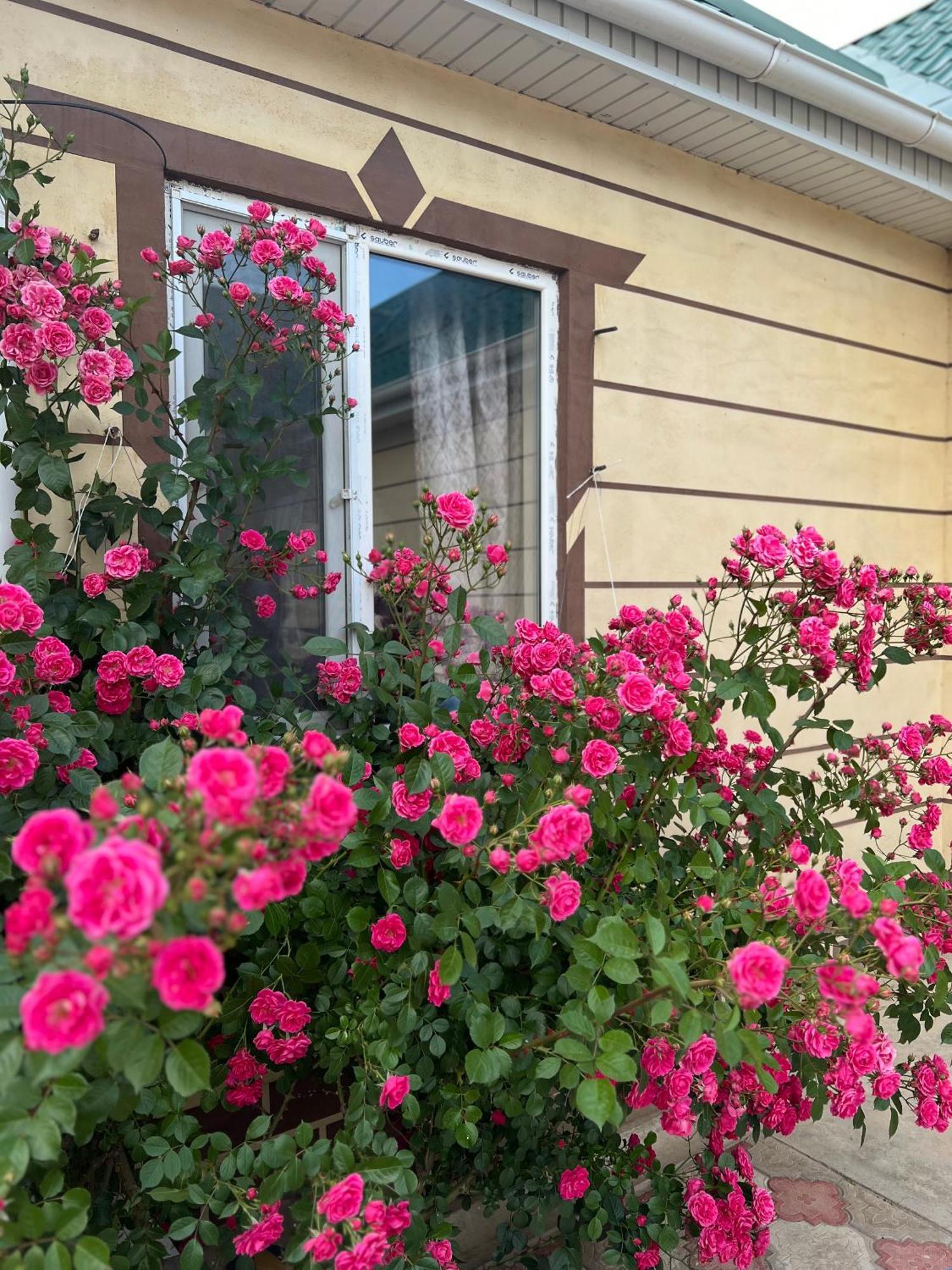 Svetlana Guest House Bokonbayevo Екстер'єр фото